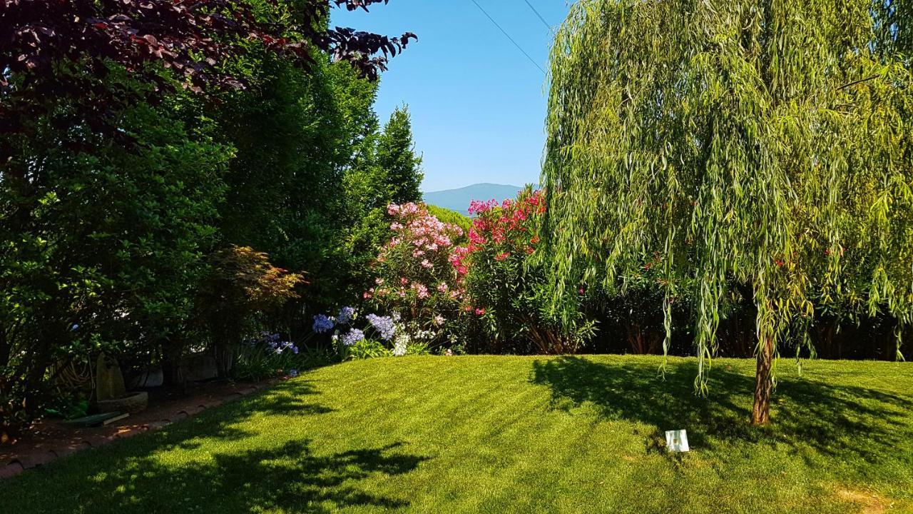 Asso Bed & Breakfast Manerba del Garda Ngoại thất bức ảnh