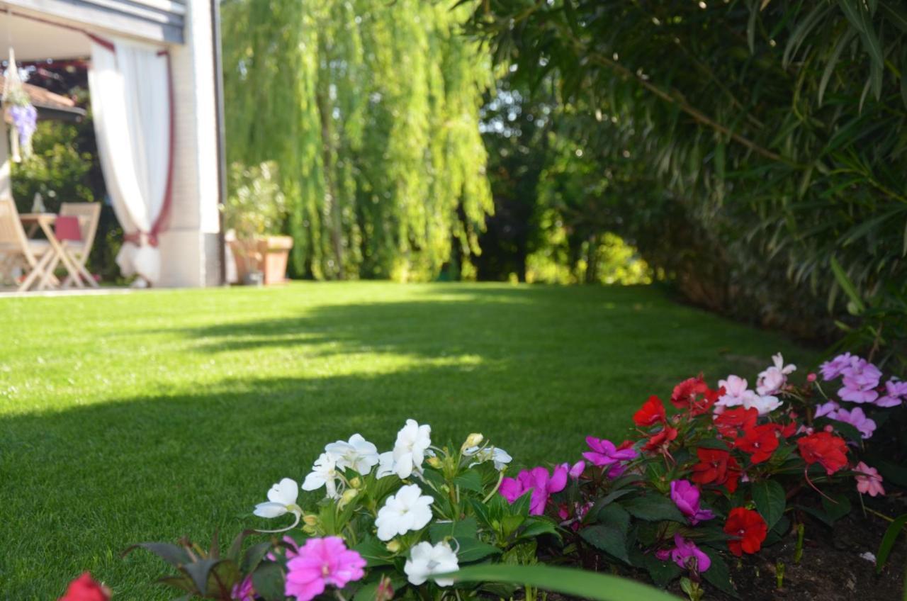 Asso Bed & Breakfast Manerba del Garda Ngoại thất bức ảnh